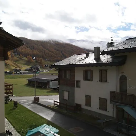 Gioia